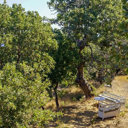 My Old Stone House In A 2 000 Sqm Private Garden With Fab Glamping Tent Mandraki  Exterior photo